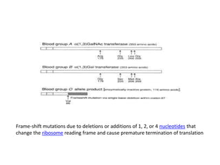 Frame-shift mutations due to deletions or additions of 1, 2, or 4 nucleotides that
change the ribosome reading frame and cause premature termination of translation
 