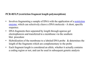 PCR-RFLP (restriction fragment length polymorphism)
• Involves fragmenting a sample of DNA with the application of a restriction
enzyme, which can selectively cleave a DNA molecule - A short, specific
sequence.
• DNA fragments then separated by length through agarose gel
electrophoresis and transferred to a membrane via the southern
blot procedure
• Hybridization of the membrane to a labeled DNA probe & determines the
length of the fragments which are complementary to the probe
• Each fragment length is considered an allele, whether it actually contains
a coding region or not, and can be used in subsequent genetic analysis
 