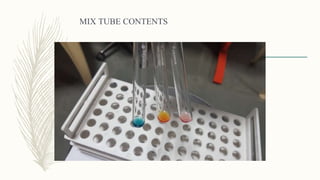 MIX TUBE CONTENTS
 
