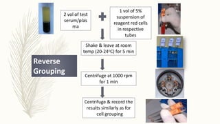 2 vol of test
serum/plas
ma
1 vol of 5%
suspension of
reagent red cells
in respective
tubes
Reverse
Grouping Centrifuge at 1000 rpm
for 1 min
Centrifuge & record the
results similarly as for
cell grouping
Shake & leave at room
temp (20-24oC) for 5 min
 