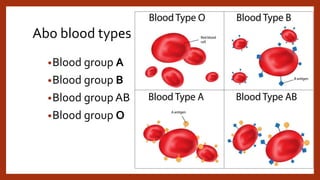 Abo blood types
•Blood group A
•Blood group B
•Blood group AB
•Blood group O
 