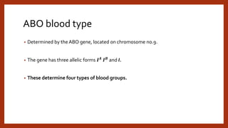ABO blood type
• Determined by the ABO gene, located on chromosome no.9.
• The gene has three allelic forms 𝑰𝑨
𝑰𝑩
and I.
• These determine four types of blood groups.
 