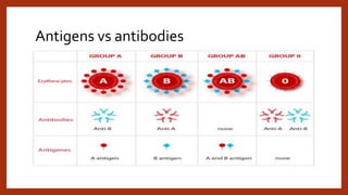 Antigens vs antibodies
 