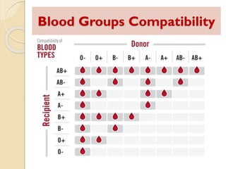 Blood grouping.pdf