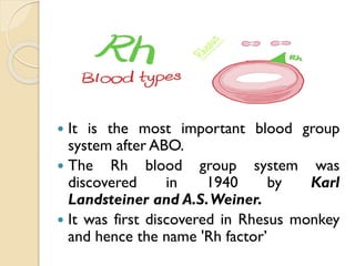  It is the most important blood group
system after ABO.
 The Rh blood group system was
discovered in 1940 by Karl
Landsteiner and A.S.Weiner.
 It was first discovered in Rhesus monkey
and hence the name 'Rh factor’
 
