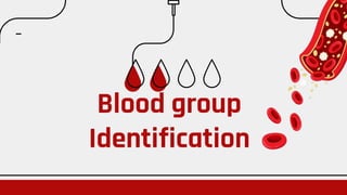 Blood group
Identification
 