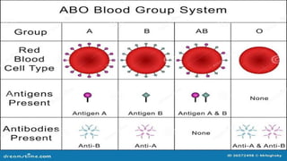 BLOOD GROUPING A,B &O BLOOD TYPES IN HUMANS | PPTX