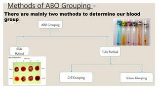 BLOOD GROUPING AND BLOOD TYPING.pptx
