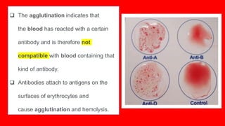 The agglutination indicates that
the blood has reacted with a certain
antibody and is therefore not
compatible with blood containing that
kind of antibody.
 Antibodies attach to antigens on the
surfaces of erythrocytes and
cause agglutination and hemolysis.
 