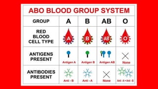 BLOOD GROUPING AND CROSS MATCHING.pptx