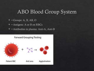 Blood_Grouping_and_CrossMatching_BSc_Nursing | PPTX