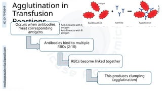 medicoseacademics@gmail.com
0310-7990649
Agglutination in
Transfusion
Reactions
Occurs when antibodies
meet corresponding
antigens
• Anti-A reacts with A
antigen
• Anti-B reacts with B
antigen
Antibodies bind to multiple
RBCs (2-10)
RBCs become linked together
This produces clumping
(agglutination)
 