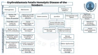 medicoseacademics@gmail.com
0310-7990649 Erythroblastosis Fetalis Hemolytic Disease of the
Newborn
Pathogenesis
Mother: Rh
negative
Fetus: Rh positive
Fetal RBCs enter
maternal
circulation
Mother forms
anti-Rh antibodies
Antibodies cross
placenta, attack
fetal RBCs
Severe response in
second or
subsequent
pregnancies
Mechanism
Maternal anti-Rh
antibodies cross
placenta
Cause
agglutination of
fetal RBCs
RBCs undergo
hemolysis
Hemoglobin is
converted to
bilirubin
Leads to jaundice
in the newborn
Antibodies may
also damage other
fetal cells
Findings in
newborn
Severe anemia Jaundice
Excess bilirubin may
deposit in brain tissue
Causes neuronal
damage
Leads to condition
called kernicterus
Mental
impairment
Motor dysfunction
Permanent
neurological
damage
Enlarged liver and
spleen
Rapid RBC
production in
hematopoietic
tissues
Release of
immature
nucleated RBCs
Hence
erythroblastosis
fetalis
 
