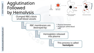 medicoseacademics@gmail.com
0310-7990649
Agglutination
Followed
by Hemolysis
Clumped RBCs block
small blood vessels
RBC membranes are
destroyed by:
• Physical distortion
• Phagocytic white blood
cells
Hemoglobin released
into plasma
This process is called
hemolysis
 