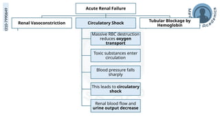 medicoseacademics@gmail.com
0310-7990649
Acute Renal Failure
Renal Vasoconstriction
Antigen–antibody
reaction releases toxic
substances
These substances
cause severe
constriction of renal
blood vessels
Renal blood flow
decreases
Kidney function
becomes impaired
Circulatory Shock
Massive RBC destruction
reduces oxygen
transport
Toxic substances enter
circulation
Blood pressure falls
sharply
This leads to circulatory
shock
Renal blood flow and
urine output decrease
Tubular Blockage by
Hemoglobin
Excess hemoglobin is
released into blood plasma
Normally it binds to
haptoglobin
When haptoglobin
becomes saturated
Free hemoglobin enters
kidney tubules
High concentration causes
hemoglobin precipitation
Tubules become blocked
 