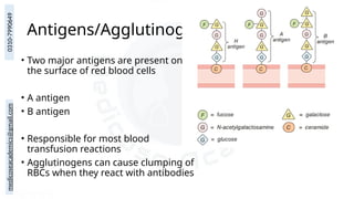 medicoseacademics@gmail.com
0310-7990649
Antigens/Agglutinogens
• Two major antigens are present on
the surface of red blood cells
• A antigen
• B antigen
• Responsible for most blood
transfusion reactions
• Agglutinogens can cause clumping of
RBCs when they react with antibodies
 
