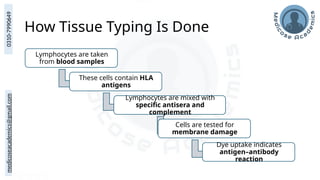 medicoseacademics@gmail.com
0310-7990649
How Tissue Typing Is Done
Lymphocytes are taken
from blood samples
These cells contain HLA
antigens
Lymphocytes are mixed with
specific antisera and
complement
Cells are tested for
membrane damage
Dye uptake indicates
antigen–antibody
reaction
 