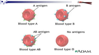 Demonstration of Blood grouping