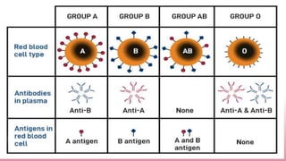 Demonstration of Blood grouping