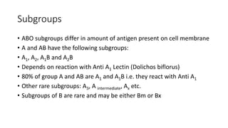 Subgroups
• ABO subgroups differ in amount of antigen present on cell membrane
• A and AB have the following subgroups:
• A1, A2, A1B and A2B
• Depends on reaction with Anti A1 Lectin (Dolichos biflorus)
• 80% of group A and AB are A1 and A1B i.e. they react with Anti A1
• Other rare subgroups: A3, A intermediate, Ax etc.
• Subgroups of B are rare and may be either Bm or Bx
 