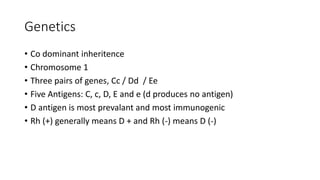 Genetics
• Co dominant inheritence
• Chromosome 1
• Three pairs of genes, Cc / Dd / Ee
• Five Antigens: C, c, D, E and e (d produces no antigen)
• D antigen is most prevalant and most immunogenic
• Rh (+) generally means D + and Rh (-) means D (-)
 