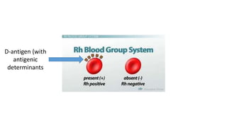 D-antigen (with
antigenic
determinants
 