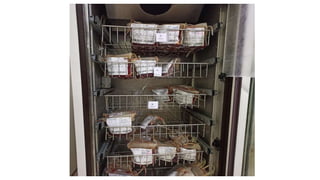 Blood grouping and Cross matching