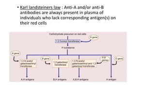 • Karl landsteiners law : Anti-A and/or anti-B
antibodies are always present in plasma of
individuals who lack corresponding antigen(s) on
their red cells
 