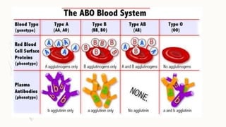 a comprehensive guide to grouping and functions in... Comprehensive Guide to Blood Grouping and Cross-Matching Techniques | PPTX
