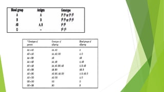 Blood group inheritance | PDF