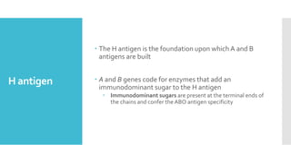 H antigen
 The H antigen is the foundation upon which A and B
antigens are built
 A and B genes code for enzymes that add an
immunodominant sugar to the H antigen
 Immunodominant sugars are present at the terminal ends of
the chains and confer the ABO antigen specificity
 