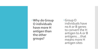 Why do Group
O individuals
have more H
antigen than
the other
groups?
Group O
individuals have
no A or B genes
to convert the H
antigen to A or B
antigens….that
means more H
antigen sites
 