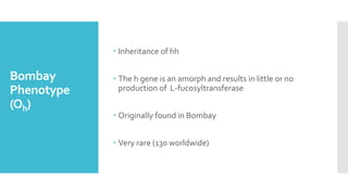 Bombay
Phenotype
(Oh)
 Inheritance of hh
 The h gene is an amorph and results in little or no
production of L-fucosyltransferase
 Originally found in Bombay
 Very rare (130 worldwide)
 