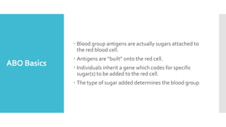 ABO Basics
 Blood group antigens are actually sugars attached to
the red blood cell.
 Antigens are “built” onto the red cell.
 Individuals inherit a gene which codes for specific
sugar(s) to be added to the red cell.
 The type of sugar added determines the blood group
 