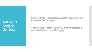 ABO and H
Antigen
Genetics
 Genes at three separate loci control the occurrence and
location of ABO antigens
 The presence or absence of the A, B, and H antigens is
controlled by the H and ABO genes
 