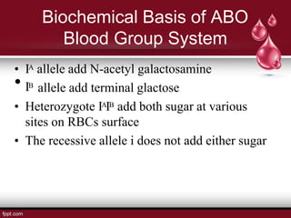 Biochemical Basis of ABO
Blood Group System
• IA allele add N-acetyl galactosamine
• IB
allele add terminal glactose
• Heterozygote IAIB add both sugar at various
sites on RBCs surface
• The recessive allele i does not add either sugar
 