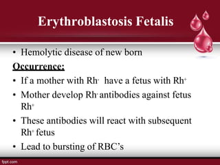 Erythroblastosis Fetalis
• Hemolytic disease of new born
Occurrence:
• If a mother with Rh- have a fetus with Rh+
• Mother develop Rh- antibodies against fetus
Rh+
• These antibodies will react with subsequent
Rh+ fetus
• Lead to bursting of RBC’s
 
