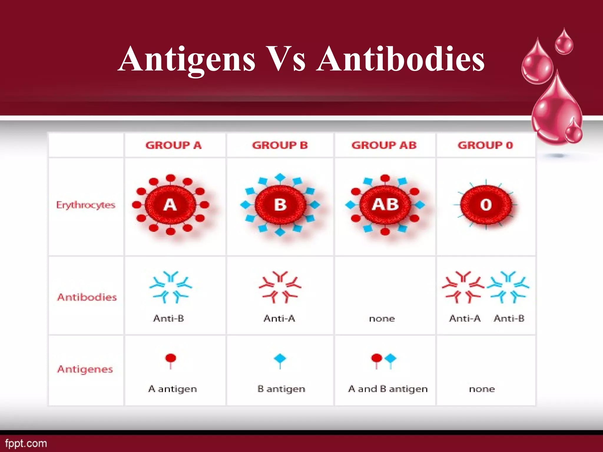 Blood group ppt