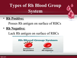 Rh Numbers Blood group ppt | PPT