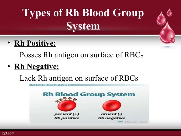 Blood Group Ppt Blood Group Ppt
