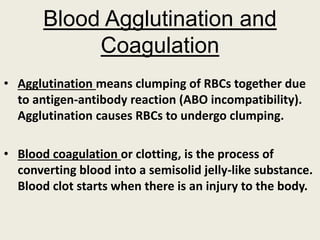 Blood Agglutination and
Coagulation
• Agglutination means clumping of RBCs together due
to antigen-antibody reaction (ABO incompatibility).
Agglutination causes RBCs to undergo clumping.
• Blood coagulation or clotting, is the process of
converting blood into a semisolid jelly-like substance.
Blood clot starts when there is an injury to the body.
 