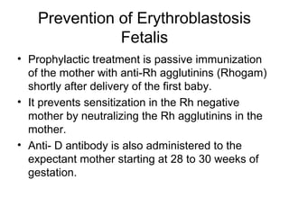 Prevention of Erythroblastosis
Fetalis
• Prophylactic treatment is passive immunization
of the mother with anti-Rh agglutinins (Rhogam)
shortly after delivery of the first baby.
• It prevents sensitization in the Rh negative
mother by neutralizing the Rh agglutinins in the
mother.
• Anti- D antibody is also administered to the
expectant mother starting at 28 to 30 weeks of
gestation.
 