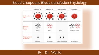 Blood Groups and Blood transfusion Physiology
By – Dr. Wahid
 