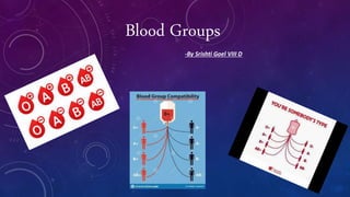 Blood Groups
-By Srishti Goel VIII D
 