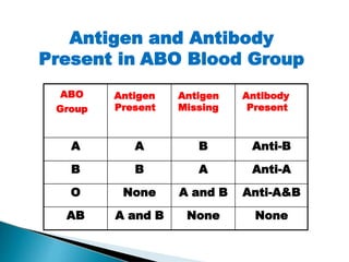 ABO
Group
Antigen
Present
Antigen
Missing
Antibody
Present
A A B Anti-B
B B A Anti-A
O None A and B Anti-A&B
AB A and B None None
Mujtaba Ashraf 16/09/2015 9
Antigen and Antibody
Present in ABO Blood Group
 