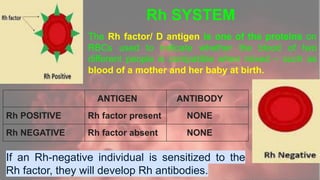 Blood groups (Antigen,Antibodies,Agglutination, compatibility Rh factor ...