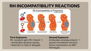 The Blood Groups and it's importance.pdf
