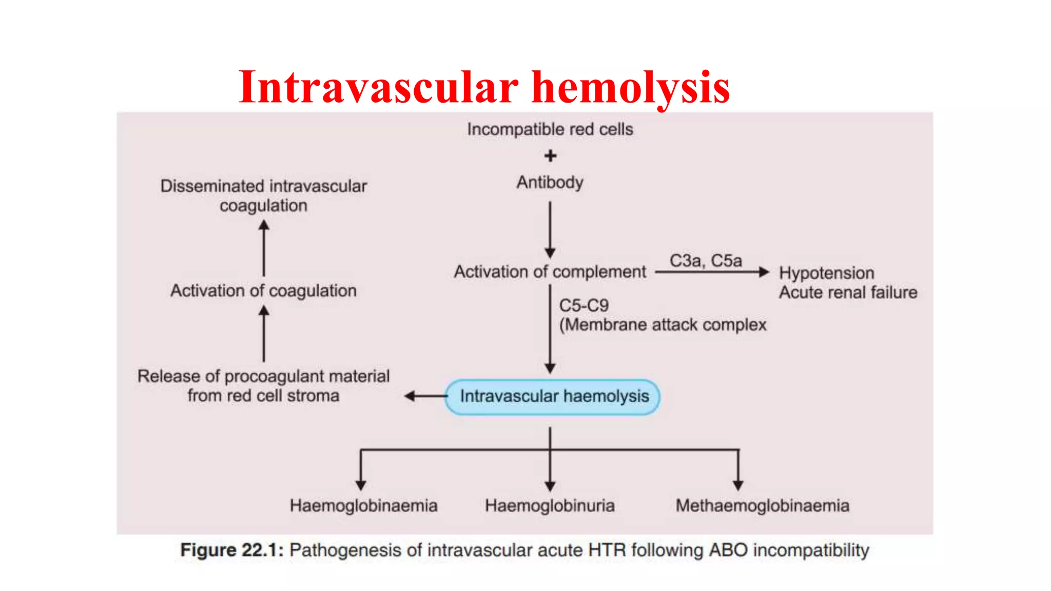 BLOOD GROUPS AND BLOOD TRANSFUSIONS.pptx