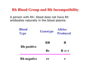 Rh Numbers Blood groups & blood donations | PPT