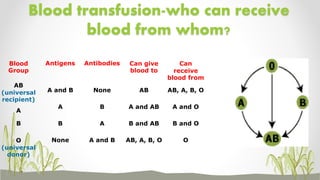 Blood groups,blood transfusion,hazards,blood bank | PPTX